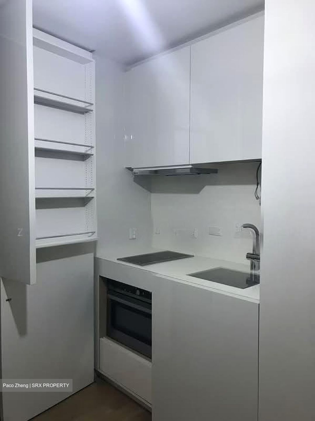 Skysuites@Anson (D2), Apartment #592452411